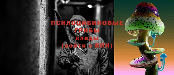 мяу мяу мука Дмитров