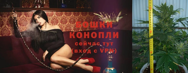 мяу мяу мука Дмитров